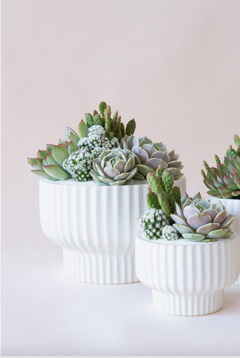 Presley Pedestal Planter White 8"