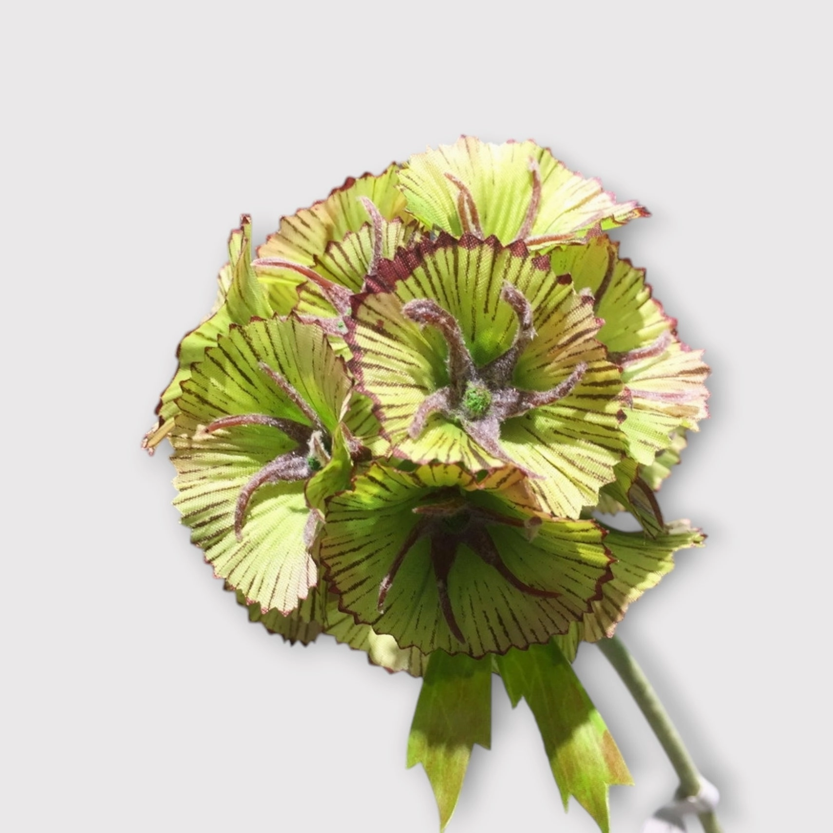 Pristimera Cambodiana Artificial Flower Blush Green PRISTIMERACAMBODIANA001