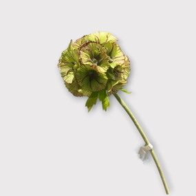 Pristimera Cambodiana Artificial Flower Blush Green PRISTIMERACAMBODIANA001,dried artificial flower