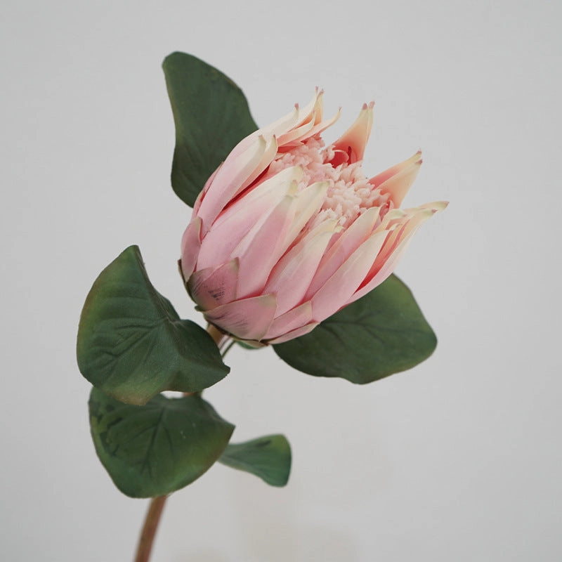 Protea Artificial Silk Flower 67cm Stem PROTEA001-0011