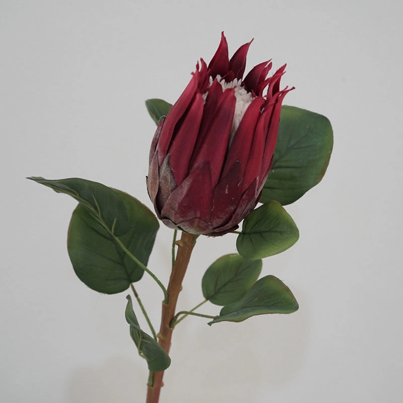Protea Artificial Silk Flower 67cm Stem PROTEA001-0011