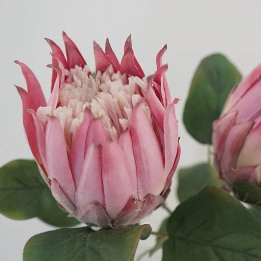 Protea Artificial Silk Flower 67cm Stem PROTEA001-0011