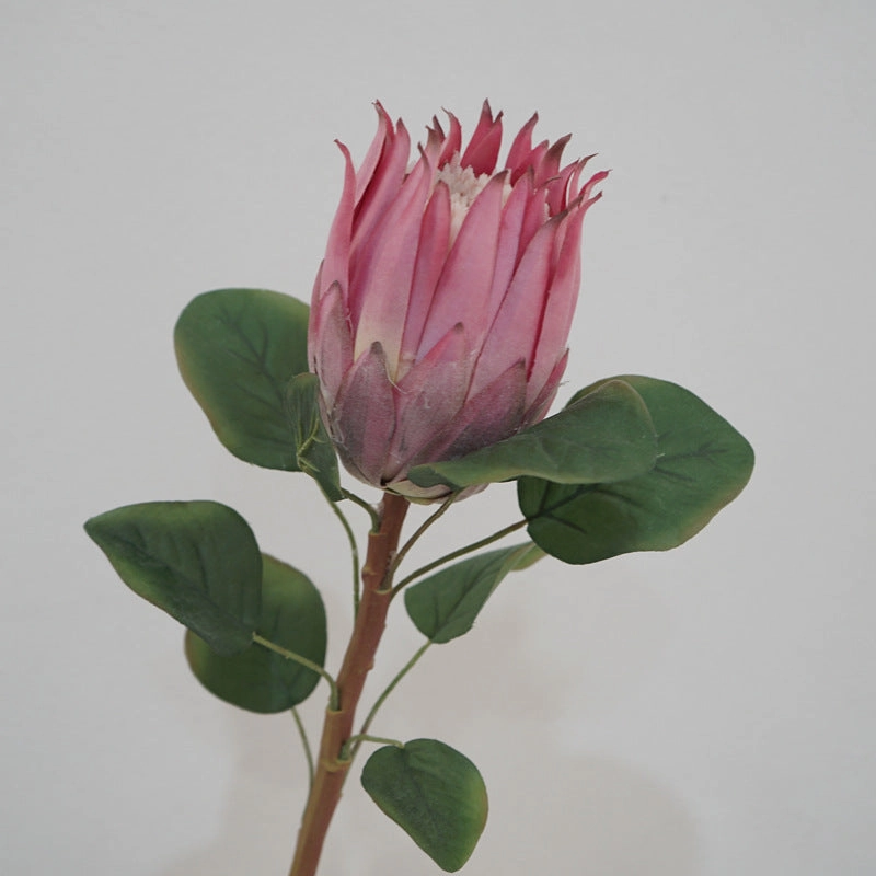 Protea Artificial Silk Flower 67cm Stem PROTEA001-0011