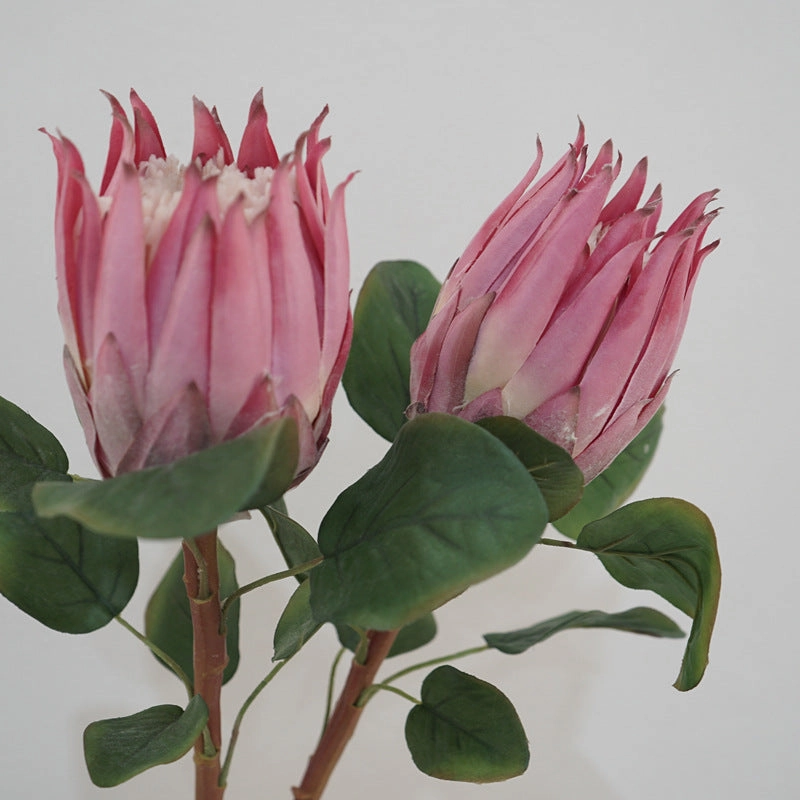 Protea Artificial Silk Flower 67cm Stem PROTEA001-0011