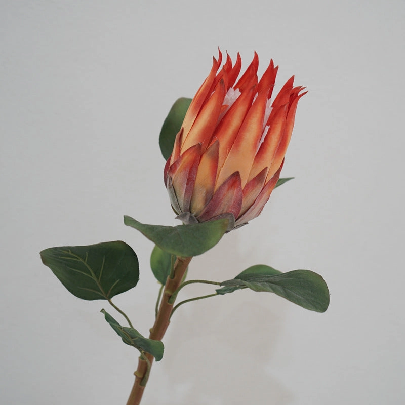 Protea Artificial Silk Flower 67cm Stem PROTEA001-0011
