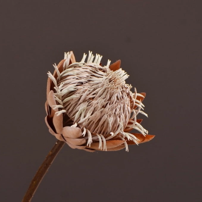 Protea Artificial Silk Flower Dry Brown PROTEA0012,dried artificial flower