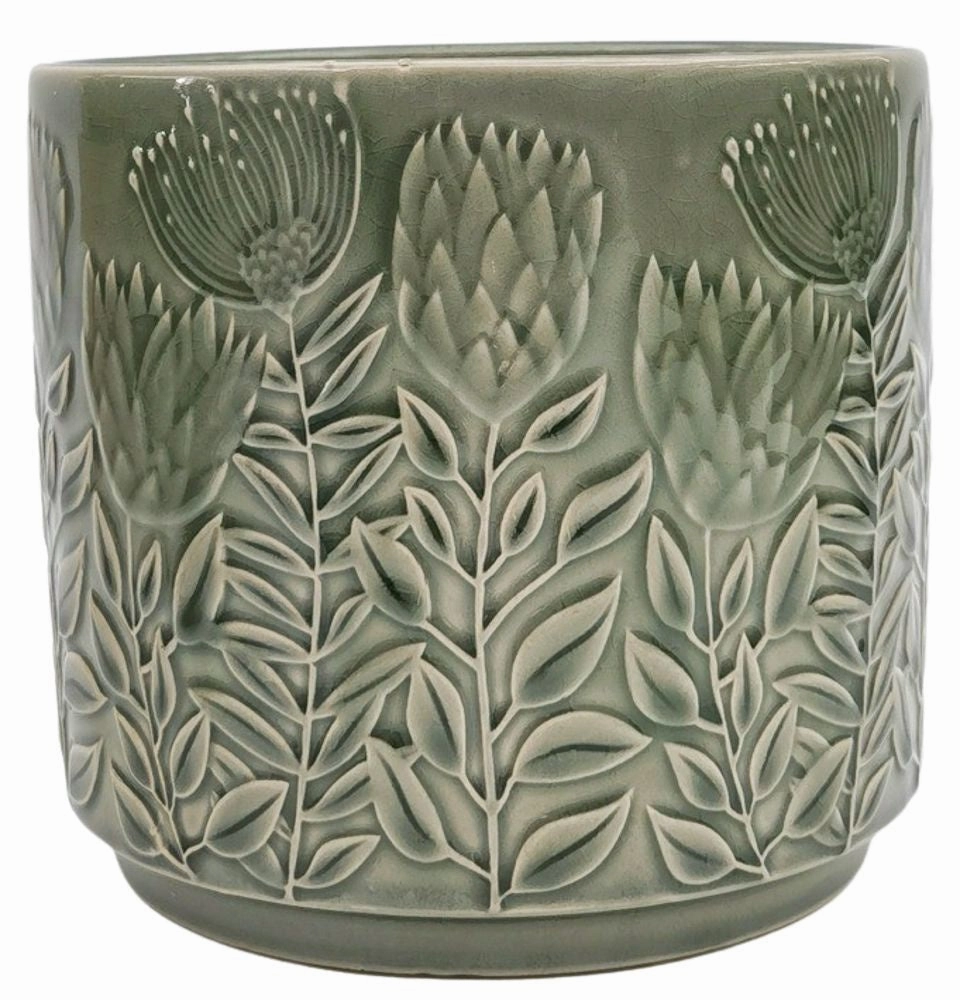 Protea Planter Sage,terracotta plant pot