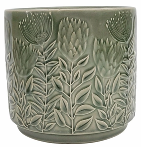 Protea Planter Sage,terracotta plant pot
