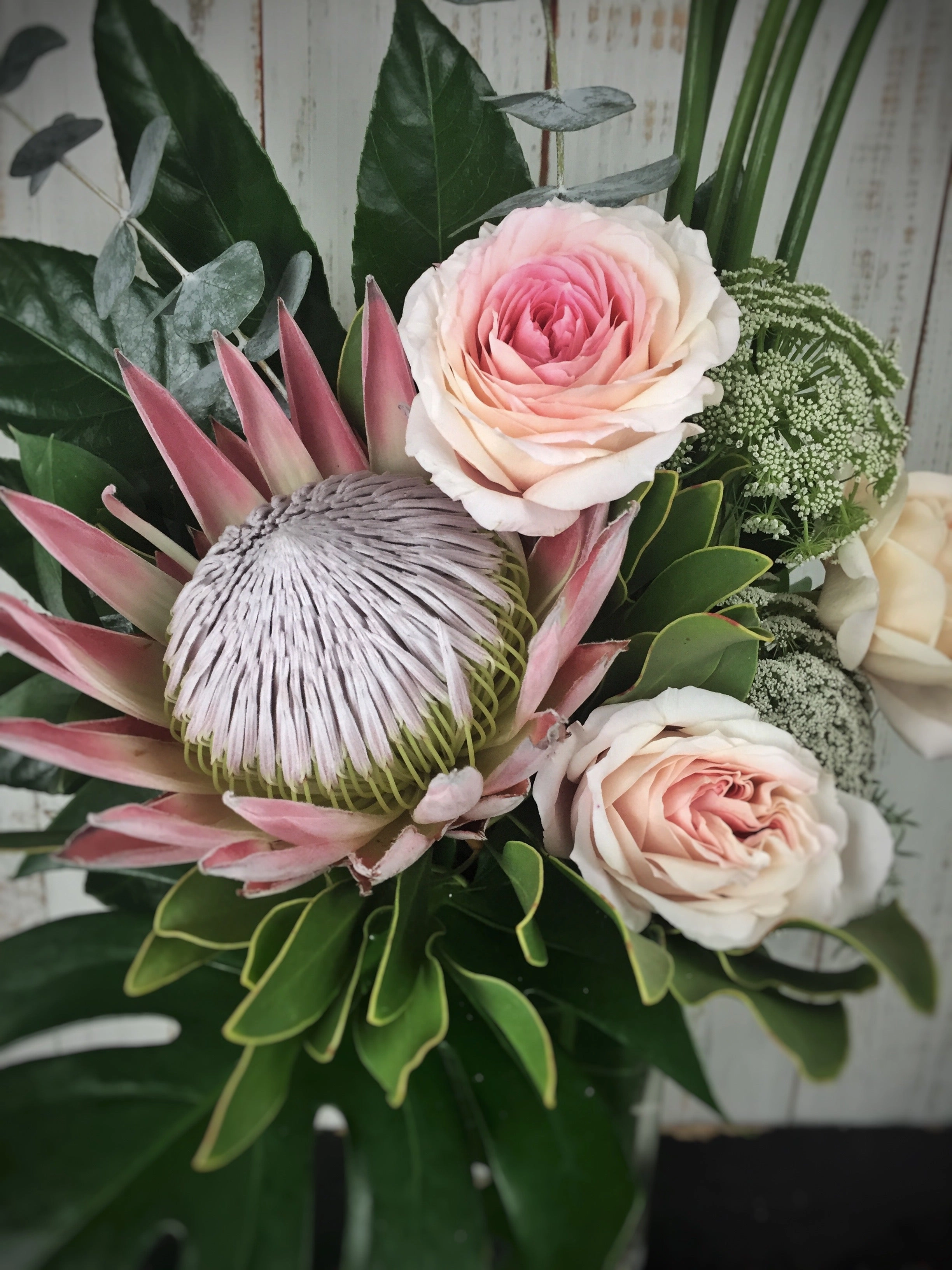 Protea Reign