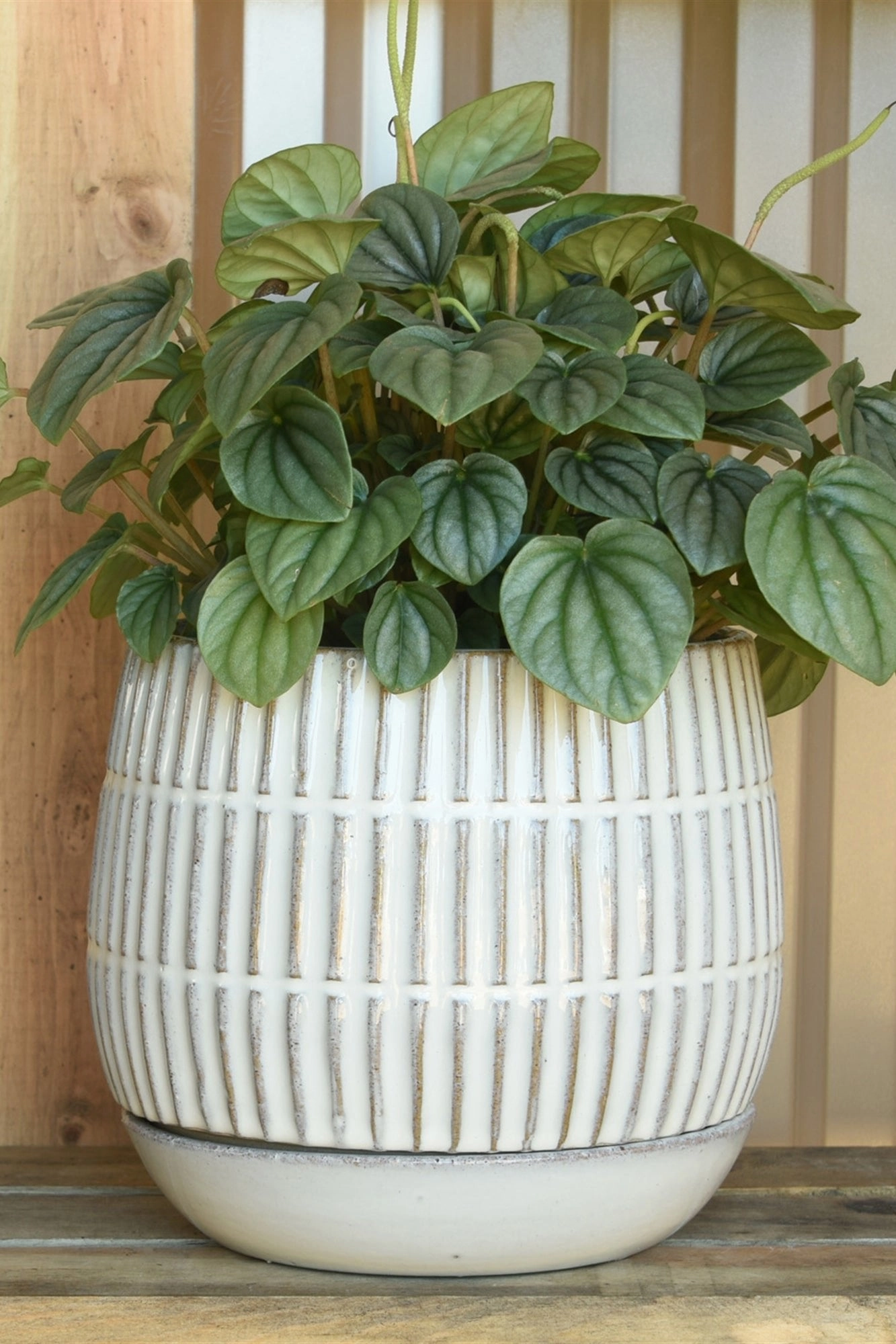 Ramos Stoneware Pot & Saucer 6"