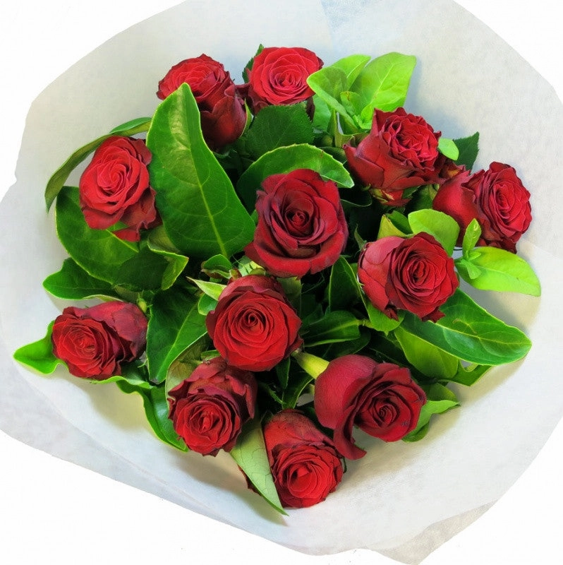 Red Roses - Casablanca