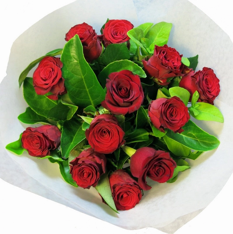 Red Roses - Casablanca