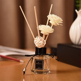 Reed Oil Diffusers Set with 3PCS,hand-painted ceramic vase