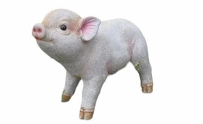 Resin Piglet,planting accessories kit