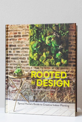 Rooted In Design,potted plant decor