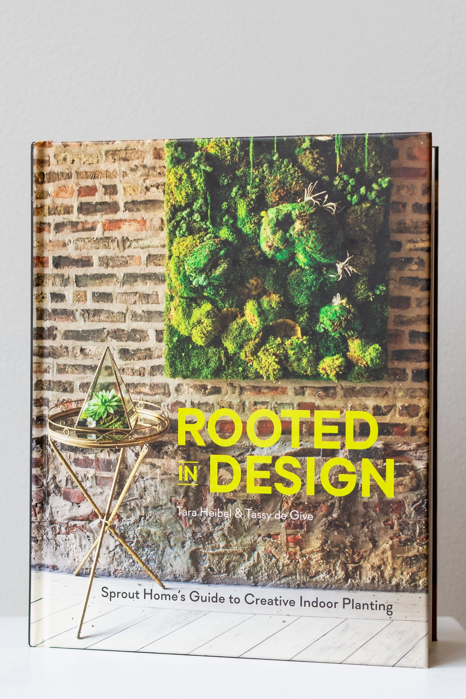 Rooted In Design,potted plant decor