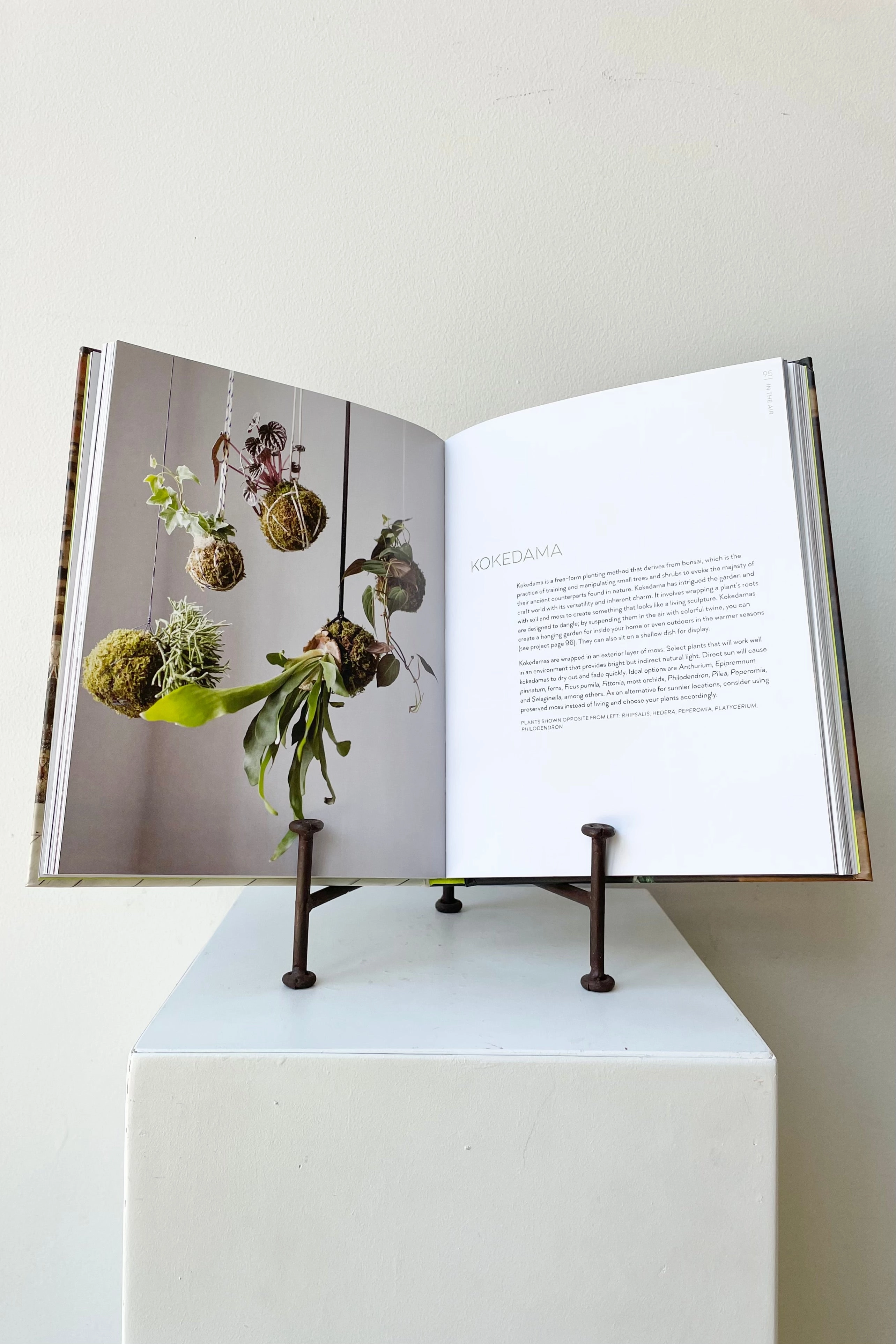 Rooted In Design
