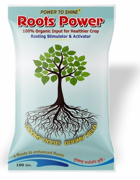Roots Power -  Rooting Hormone (100 Grams),potted plant decor