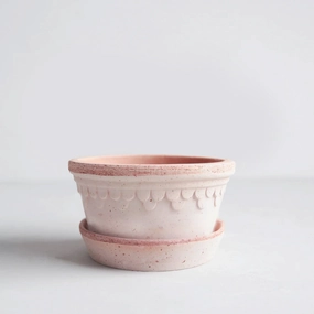 Rosa Low Terracotta Pot and Saucer, (8.3"Dia x 4.1H),garden field mower