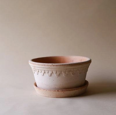 Rosa Low Terracotta Pot and Saucer, (8.3"Dia x 4.1H)
