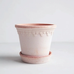 Rosa Mediuma Terracotta Pot and Saucer, 8.3" x 7.3",garden field mower