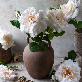 Rosa Vanilla Stem 35cm,dried artificial flower