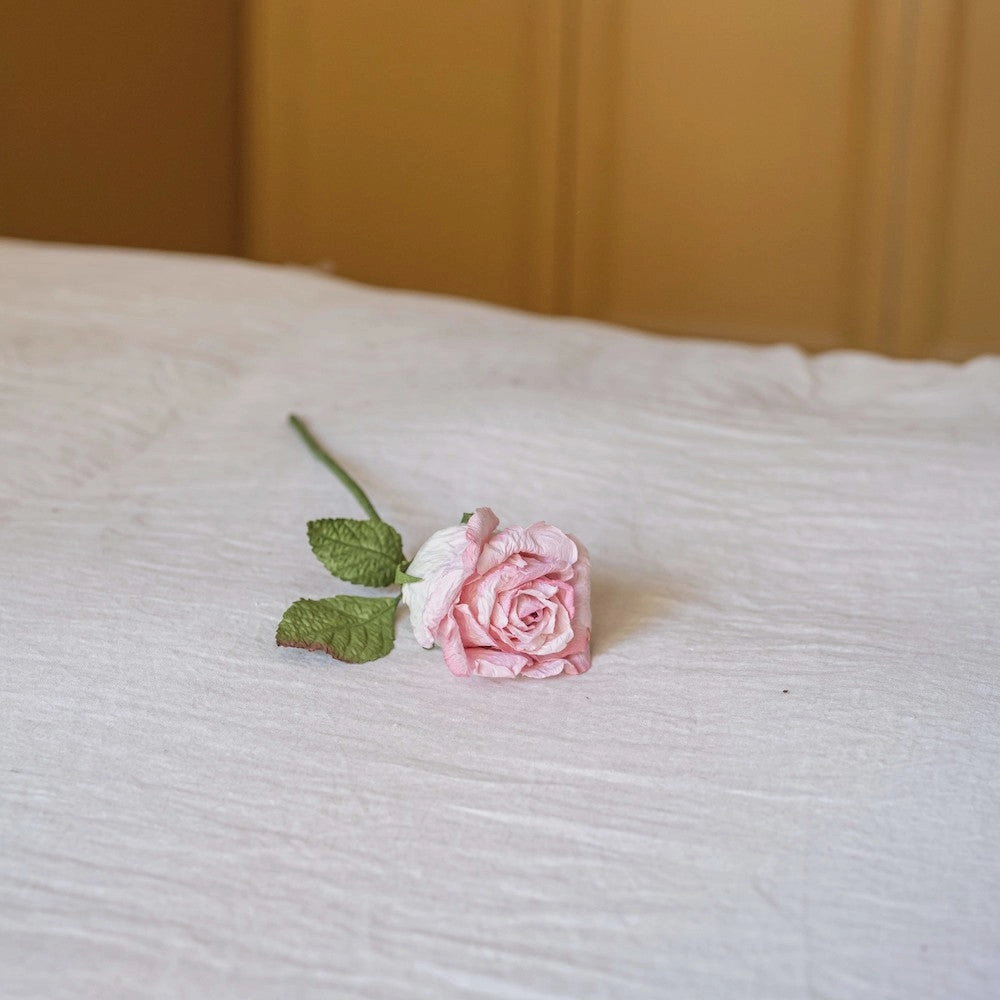 Rose Alice en papier rose ple