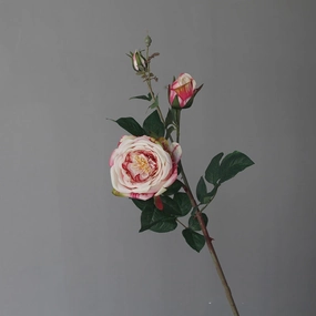 Rose Artificial Silk Flowers Stem ROSE077-078,dried artificial flower