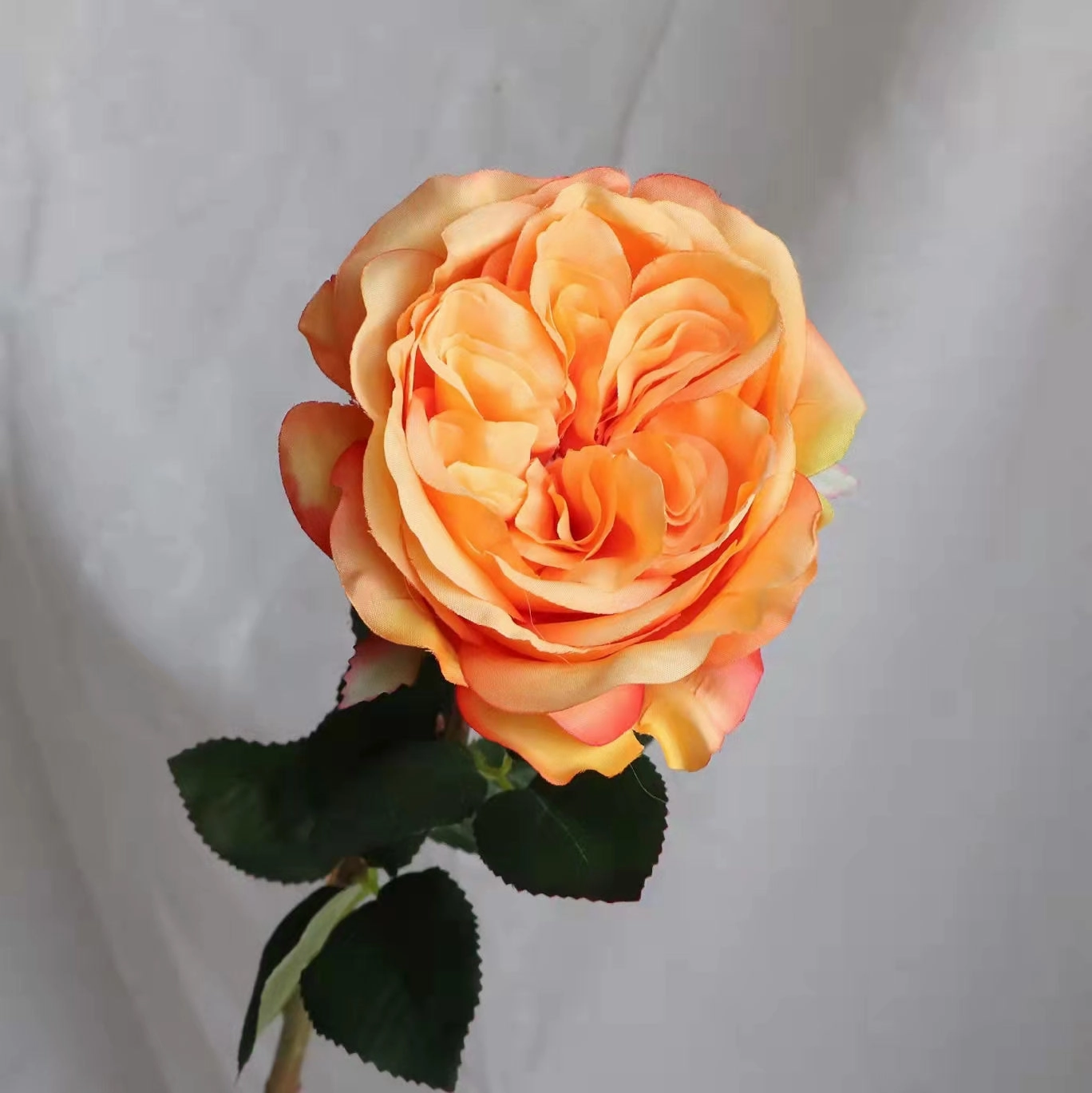 Rose Austin 72cm Artificial Silk Flower Orange ROSEAUSTIN058,dried artificial flower