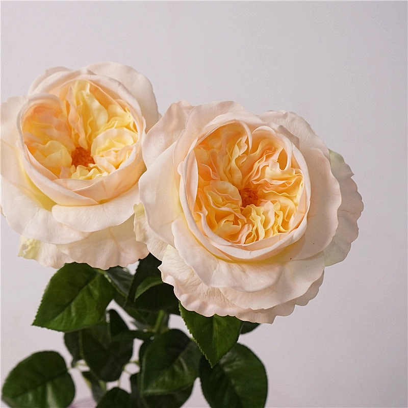 Rose Austin Real Touch 68cm Artificial Silk Flower Light Yellow ROSEAUSTIN010