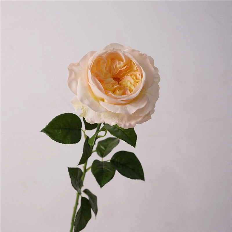 Rose Austin Real Touch 68cm Artificial Silk Flower Light Yellow ROSEAUSTIN010,dried artificial flower
