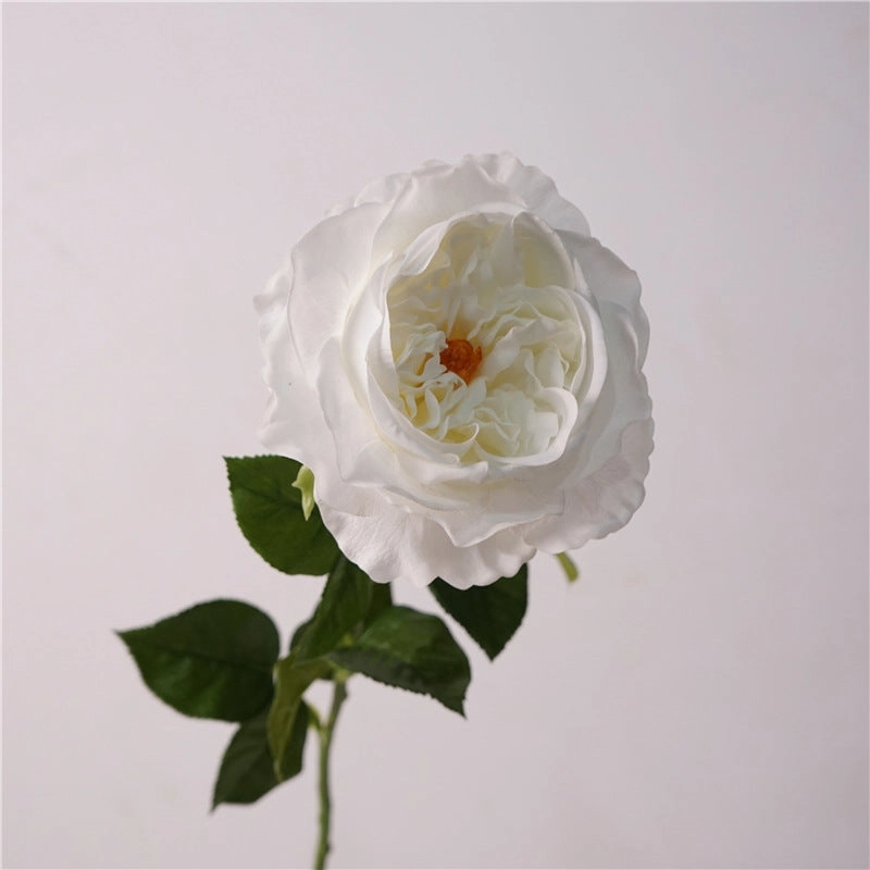 Rose Austin Real Touch 68cm Artificial Silk Flower White ROSEAUSTIN011,dried artificial flower