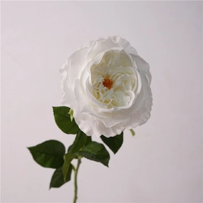Rose Austin Real Touch 68cm Artificial Silk Flower White ROSEAUSTIN011,dried artificial flower