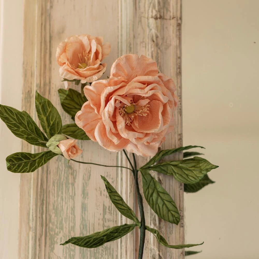 Rose Caroline en papier abricot