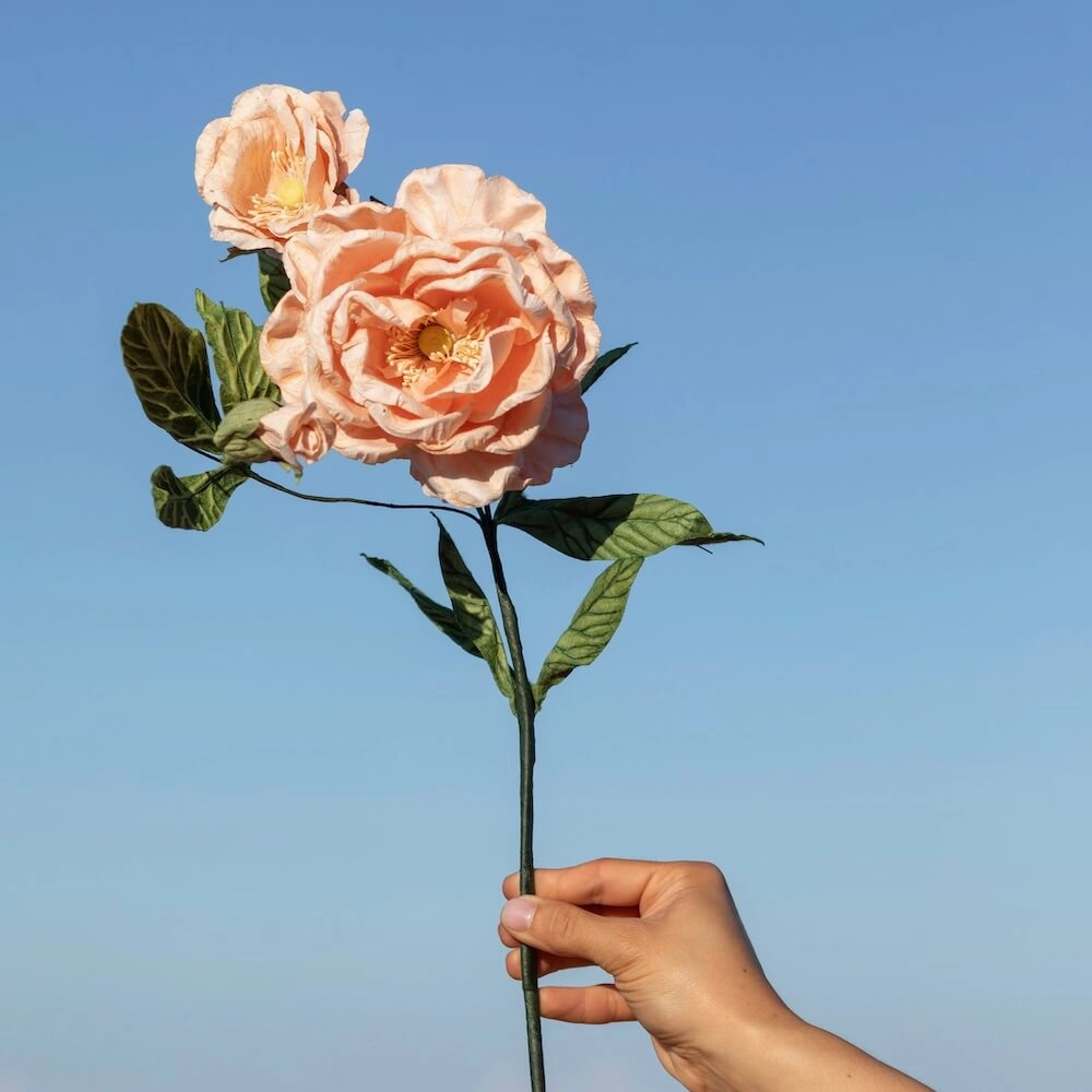 Rose Caroline en papier abricot