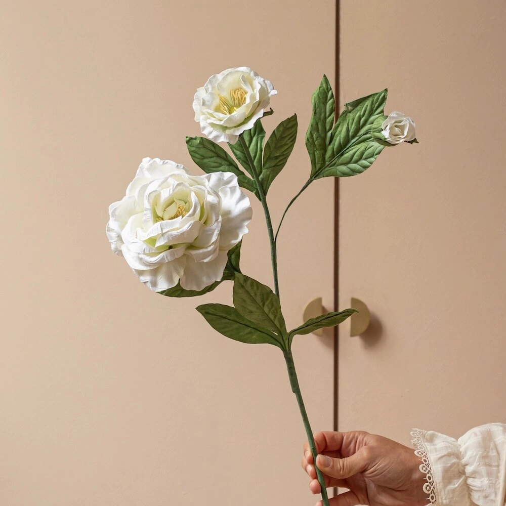 Rose Caroline en papier blanche