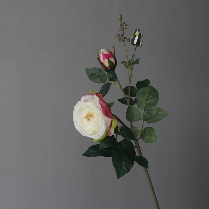 Rose Real Touch Artificial Silk Flower Stem ROSE077,dried artificial flower