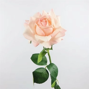 Rose Real Touch Single Head Artificial Silk Flower Stem Champagne ROSE083,dried artificial flower