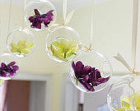 Round Hanging Glass Vase Sphere 6",aesthetic flower vase