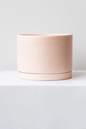 Round Planter Freckled Pink Large,indoor flower container