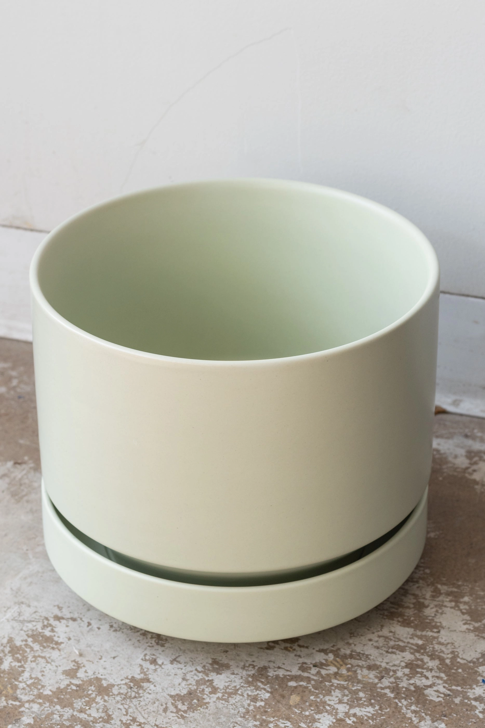 Round Two Planter Mint 10"