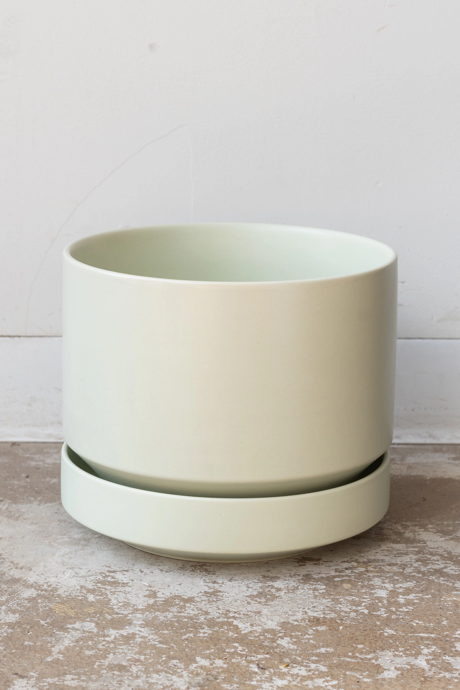 Round Two Planter Mint 10"