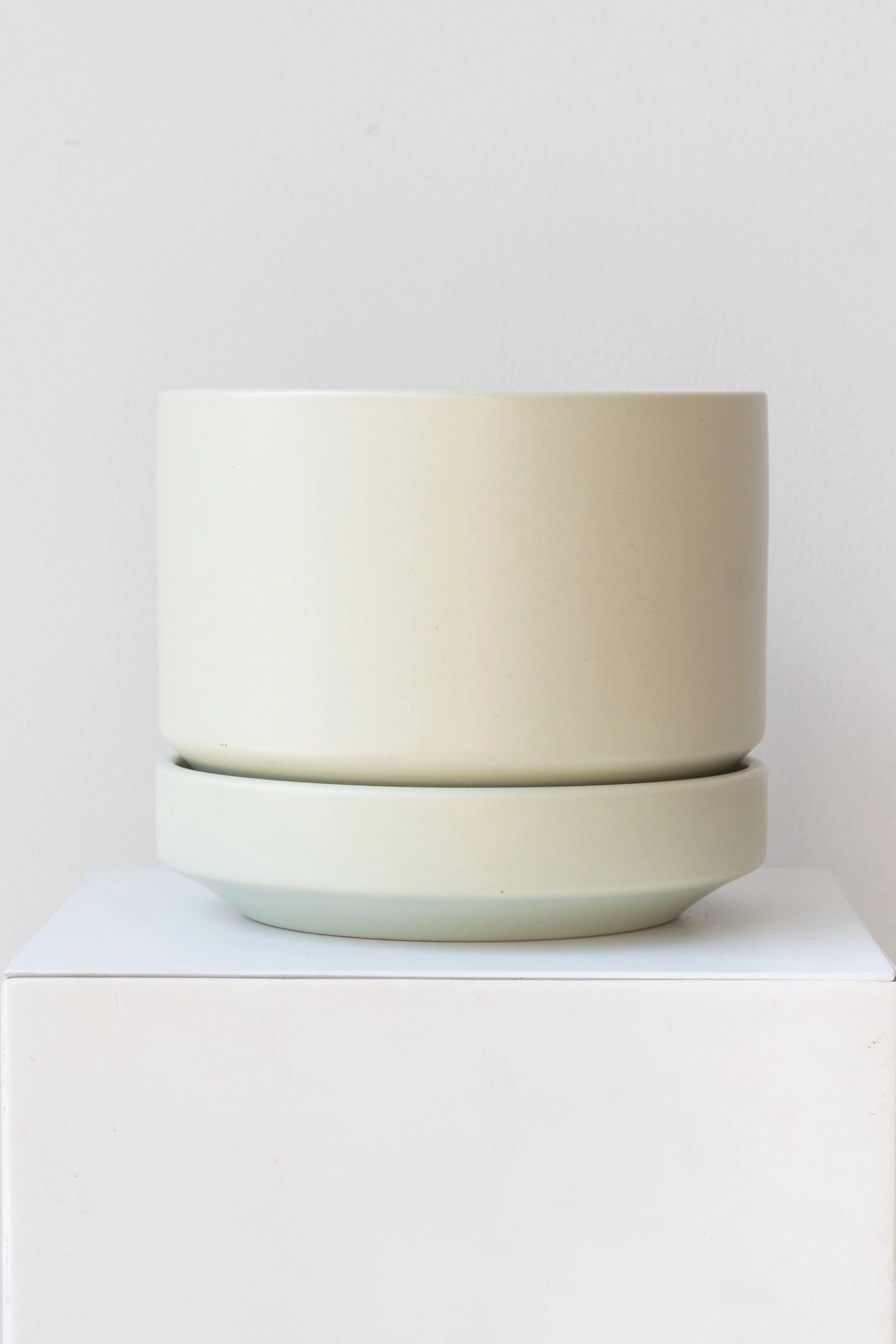 Round Two Planter Mint 6"
