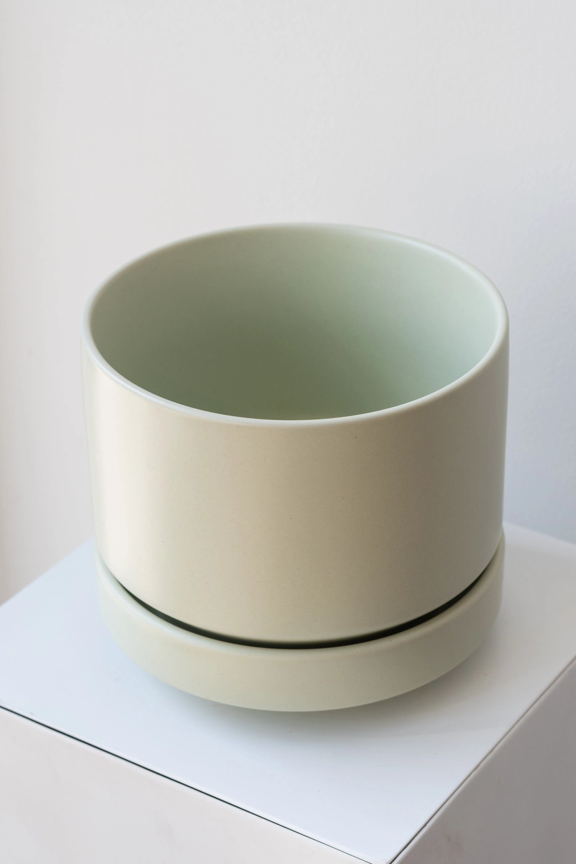 Round Two Planter Mint 6"