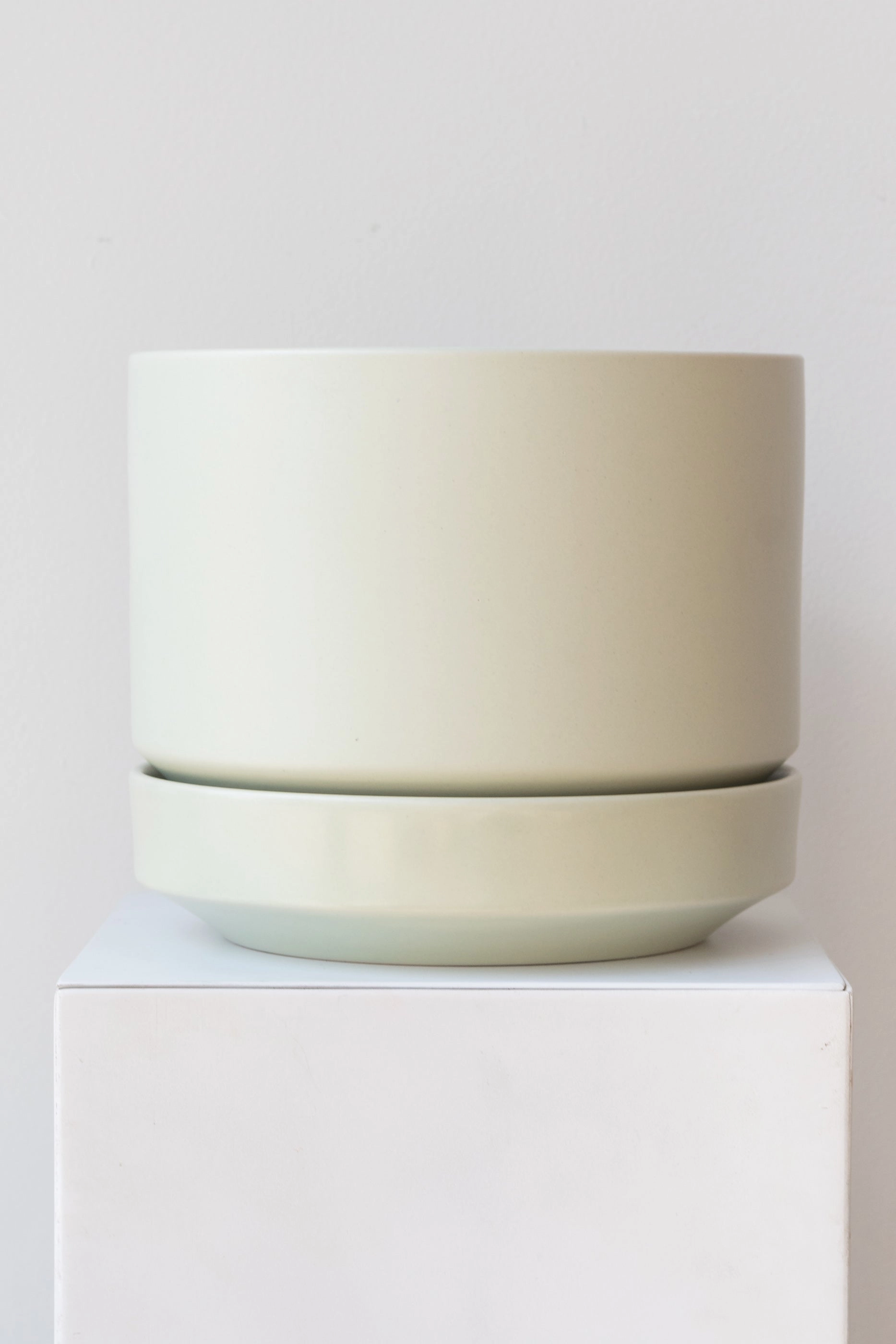 Round Two Planter Mint 8"