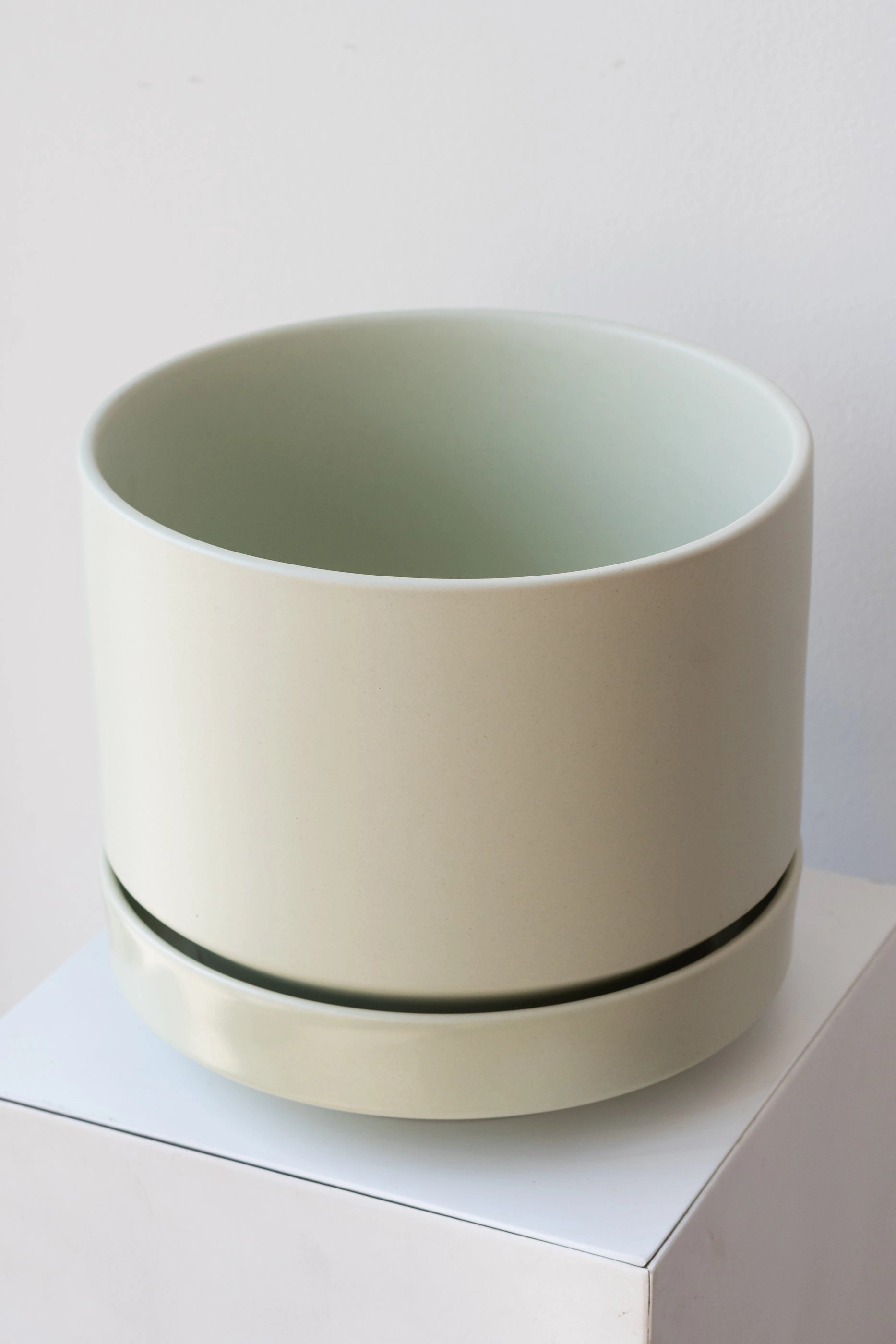 Round Two Planter Mint 8"