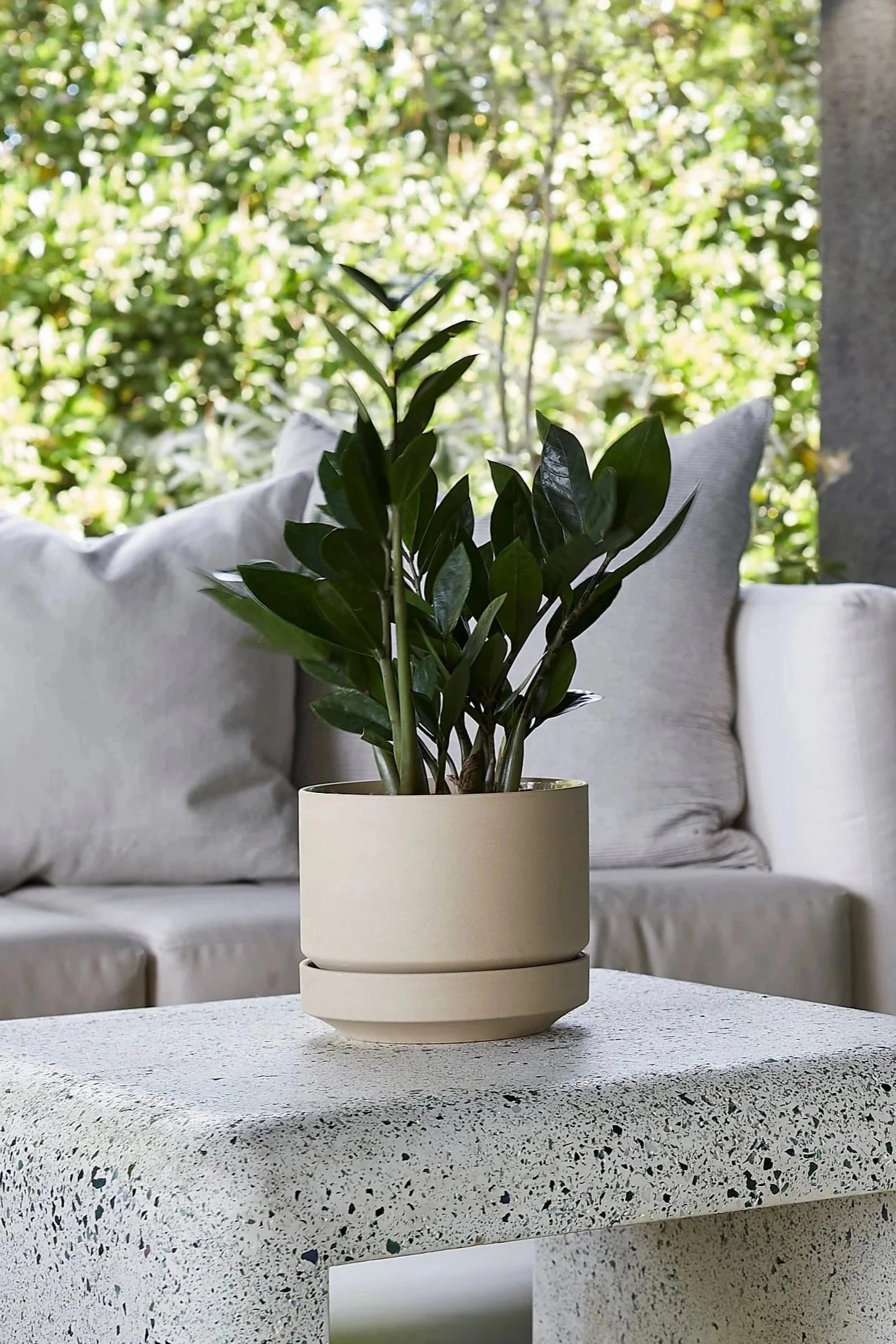 Round Two Planter Oatmeal 6"