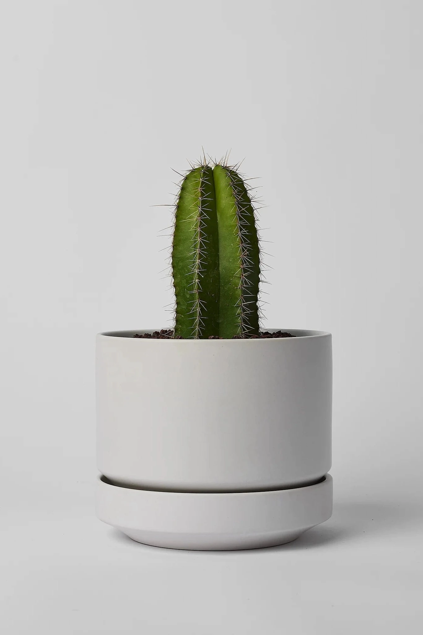 Round Two Planter White 6"