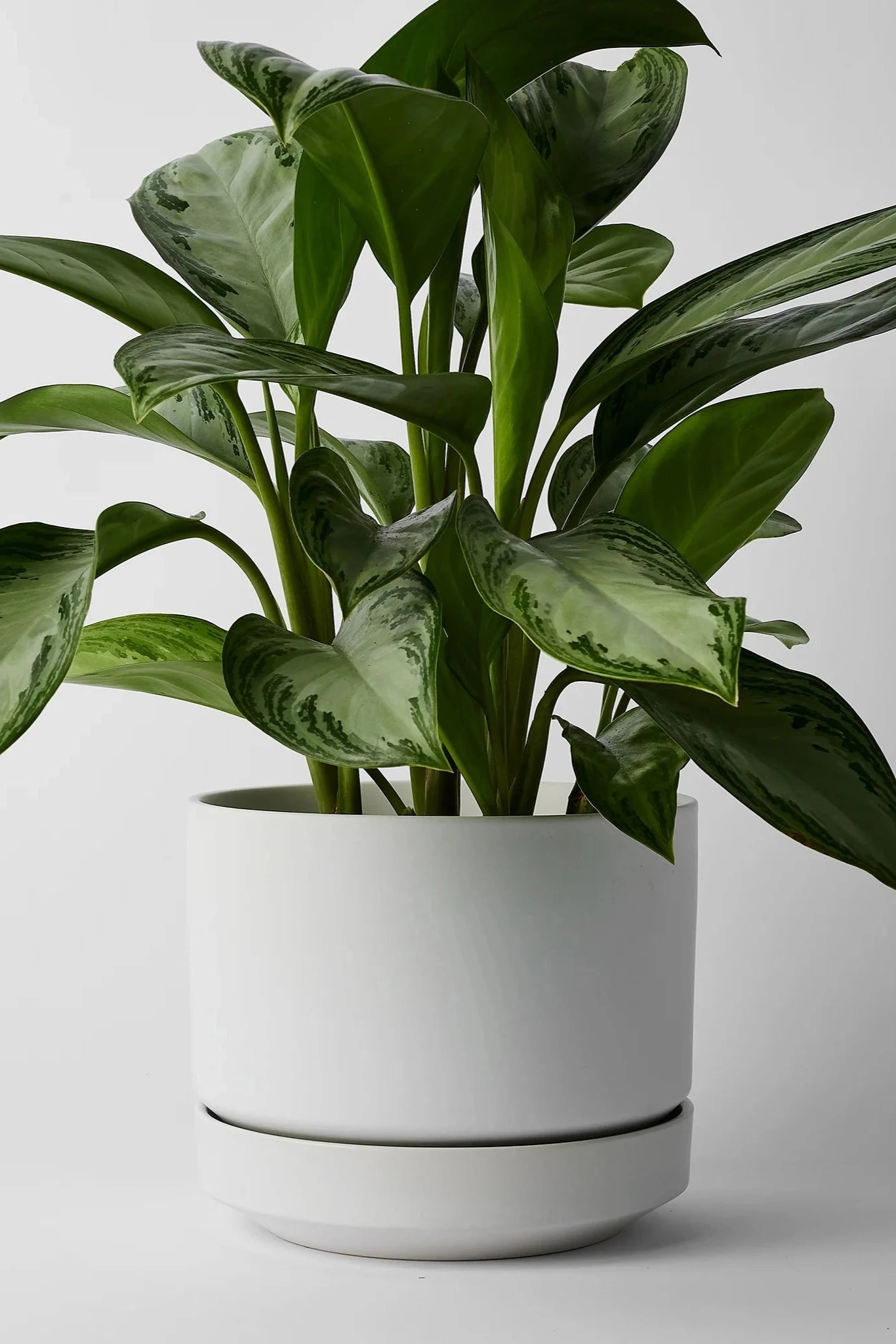Round Two Planter White 8"