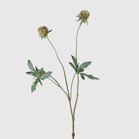 Scabiosa Stellata Spray with Leaves 85cm,dried artificial flower